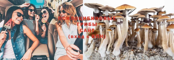 гидропоника Белокуриха