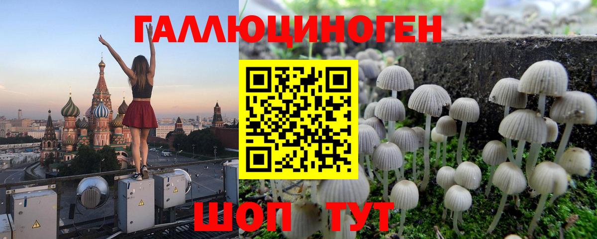 Галлюциногенные грибы Cubensis Славгород